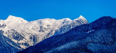 Kar kaplı tepeler karıncalanma tepeler ve diğer dağ zirveleri sahil dağ aralığı Fraser Valley British Columbia, Kanada Pitt shore gölde görüldü