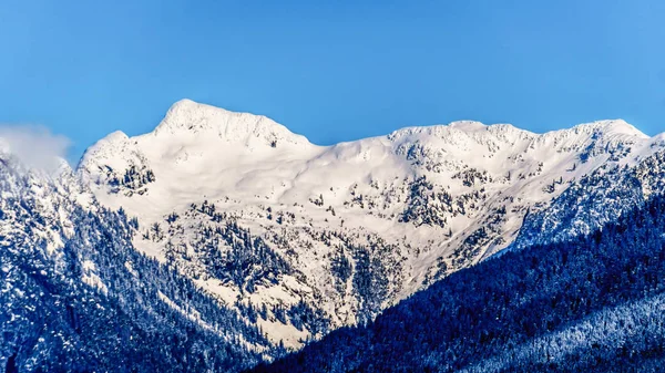 Snow Capped Peaks Tingle Peaks Other Mountain Peaks Coast Mountain — Stock Photo, Image