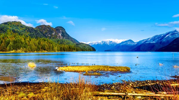 Pitt Lake with the Snow Capped Peaks of the Golden Ears, Tingle Peak and other Mountain Peaks of the surrounding Coast Mountain Range in the Fraser Valley of British Columbia, Canada