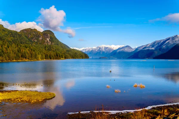 Pitt Lake Com Picos Cobertos Neve Das Orelhas Douradas Pico — Fotografia de Stock