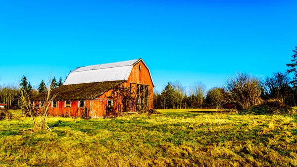 Förfallen Gammal Röd Lada Campbell Valley Regional Park Township Langley — Stockfoto