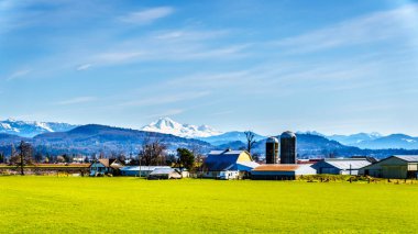 Abbotsford ve British Columbia, Kanada içinde belgili tanımlık geçmiş Baker Dağı ile görevde şehirleri, Matsqui Dyke yakınındaki tarım arazileri