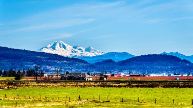 Abbotsford ve British Columbia, Kanada içinde belgili tanımlık geçmiş Baker Dağı ile görevde şehirleri, Matsqui Dyke yakınındaki tarım arazileri