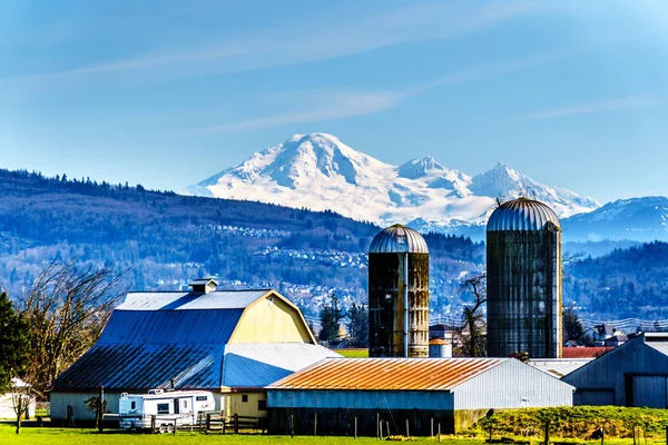 Terres Agricoles Près Digue Matsqui Dans Les Villes Abbotsford Mission — Photo