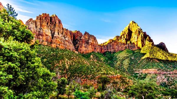 Sunrise Watchman Peak Zion National Park Utah Eua Durante Uma — Fotografia de Stock