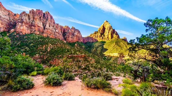 Sonnenaufgang Über Dem Wächtergipfel Zion Nationalpark Utah Usa Während Einer — Stockfoto