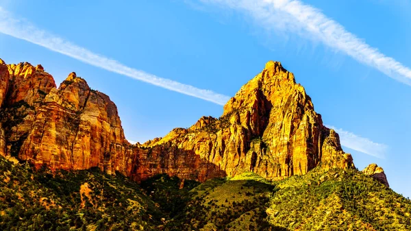 Soluppgång Över Watchman Peak Zion National Park Utah Usa Tidig — Stockfoto