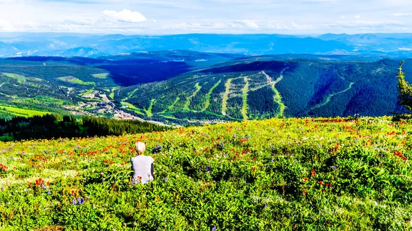 Woman sitting among the wildflowers during a hike through the alpine meadows of Tod Mountain. In the valley the alpine village of Sun Peaks in the Shuswap Highlands of British Columbia, Canada