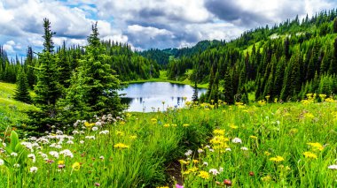 A view of Tod Lake with the abundance of alpine wild flowers as seen from a hike coming down from the top of Tod Mountain at Sun Peaks in the Shuswap Highlands in British Columbia, Canada clipart