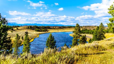 Madison Nehri, Yellowstone Ulusal Parkı 'nın batısında Wyoming, Amerika Birleşik Devletleri' nde 191 numaralı karayolu boyunca akar.