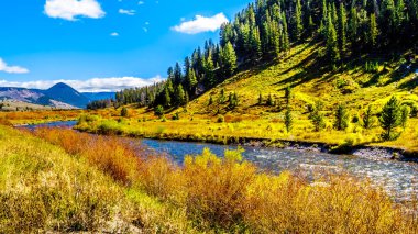 Gallatin Nehri, Yellowstone Ulusal Parkı 'nın batısında Montana, Amerika Birleşik Devletleri' nde 191 numaralı karayolu boyunca akar.