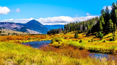 Gallatin Nehri, Yellowstone Ulusal Parkı 'nın batısında Montana, Amerika Birleşik Devletleri' nde 191 numaralı karayolu boyunca akar.