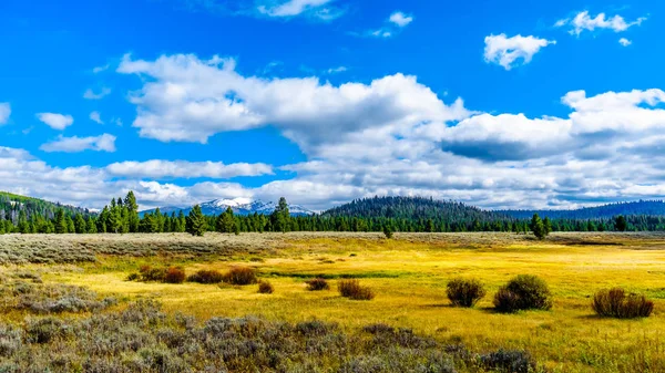 Gazon Atterrit Dans Partie Ouest Parc National Yellowstone Long Autoroute — Photo