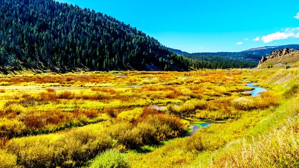 Der Gallatin Fluss Der Durch Den Westlichsten Teil Des Yellowstone — Stockfoto