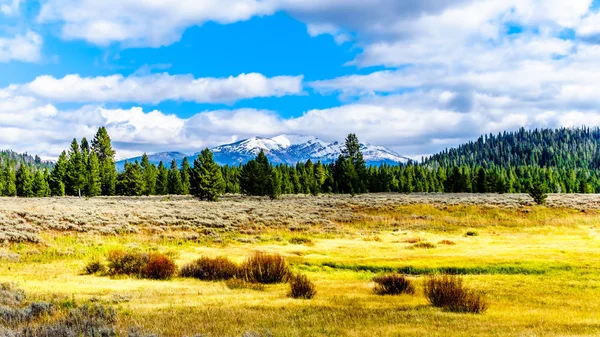 Das Gras Landet Westlichen Teil Des Yellowstone Nationalparks Entlang Des — Stockfoto