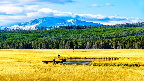 Fly Fishing Madison River Winds Its Way Grasslands Yellowstone National — Stock Photo, Image