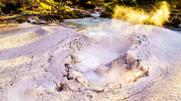 Bubbling Mud Artist Paint Pot Geysers Yellowstone National Park Вайомінг — стокове фото
