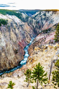 Yellowstone Nehri 'ndeki Büyük Kanyon' da gün batımı. Wyoming, Amerika Birleşik Devletleri 'ndeki Yellowstone Ulusal Parkı' nda.