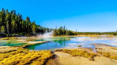 Amerika Birleşik Devletleri, Wyoming 'deki Yellowstone Ulusal Parkı' ndaki Norris Geyser Havzası 'nın Porselen Havzası' ndaki Çatırdayan Göl