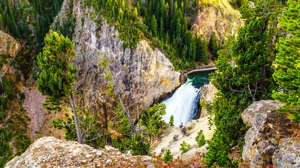 米国ワイオミング州のイエローストーン国立公園のイエローストーン川のグランドキャニオンの上の滝 — ストック写真