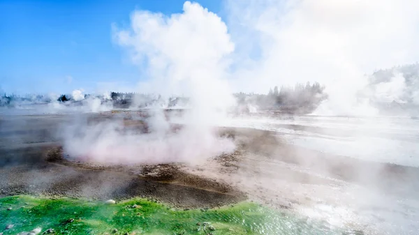 Kalkgrön Cyanidium Alger Frodas Varmt Vatten Som Flyter Från Geysers — Stockfoto