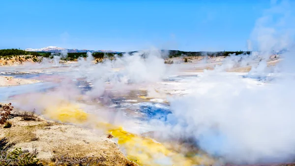 Kolloidal Pool Och Andra Gejsrar Blå Himmel Porslinsbassängen Norris Geyser — Stockfoto