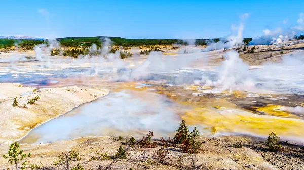 Kolloidbecken Und Andere Geysire Unter Blauem Himmel Porzellanbecken Des Norris — Stockfoto