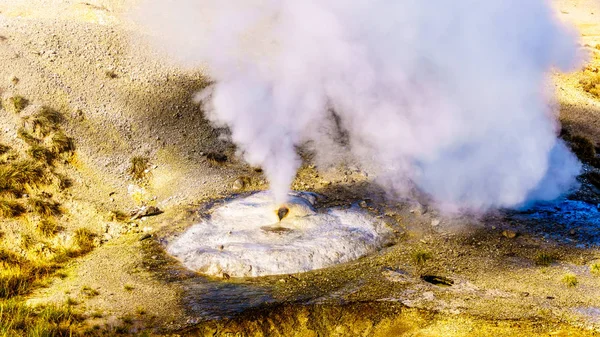 Закриття Отвору Ledge Geyser Басейні Річки Норріс Гейзер Єллоустонському Національному — стокове фото