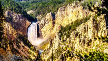 Yellowstone Nehri 'nin Yukarı Şelaleleri. Yellowstone Ulusal Parkı, Wyoming, Usa' daki Yellowstone Büyük Kanyonu 'ndaki sarı ve turuncu kumtaşı uçurumlarından akan nehir.