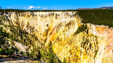 Sarı ve turuncu kumtaşı heykeller, Amerika Birleşik Devletleri, Wyoming 'deki Yellowstone Ulusal Parkı' ndaki Yellowstone Nehri 'nin Büyük Kanyonu' nun kayalıklarında.