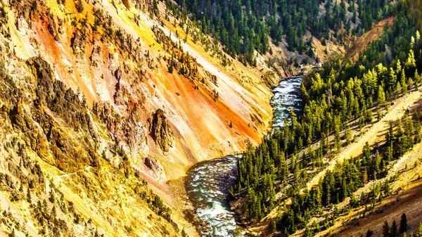 The Yellowstone River as it flows through the Grand Canyon of the Yellowstone in Yellowstone National Park in Wyoming, United States of America