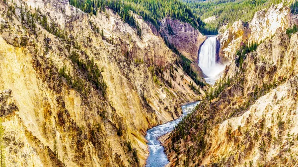 Upper Falls Yellowstone River River Flows Yellow Orange Sandstone Cliffs — Fotografia de Stock