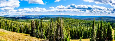 Panorama Manzarası Washburn Outlook Yellowstone Ulusal Parkı, Wyoming, ABD 'deki Grand Loop Road' da.