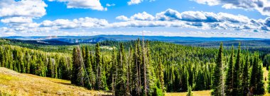 Panorama View from Mt. Washburn Outlook on the Grand Loop Road in Yellowstone National Park, Wyoming, United States clipart