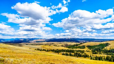 The grasslands and mountain ranges viewed from the Grand Loop Road between Canyon Village and Tower Junction in Yellowstone National Park, Wyoming, United Sates clipart