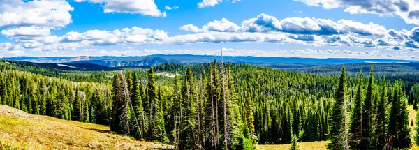 Panorama Vista Desde Washburn Outlook Grand Loop Road Parque Nacional — Foto de Stock