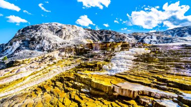 Sıcak su ve mineraller, ABD 'nin Wyoming eyaletindeki Yellowstone Ulusal Parkı' nın Mamut Springs bölgesinde Palette Spring 'den akan teraslar oluşturuyor.