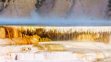 Birleşik Devletler, Wyoming 'deki Yellowstone Ulusal Parkı' nın Mamut Springs bölgesinde bulunan Canary Springs 'in mavi renkli maden zengini sıcak suyundan buhar çıkıyor.