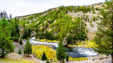 Firehole River Yellowstone Ulusal Parkı, Wyoming, ABD 'deki Firehole Canyon Road' da.
