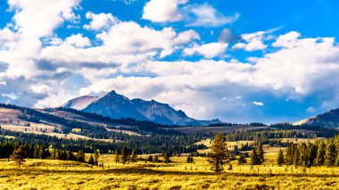 Gallatin Dağları 'nda, öğleden sonra güneşinin altında Electric Peak var. Birleşik Devletler 'in Wyoming eyaletindeki Yellowstone Ulusal Parkı' ndaki Mammoth Kaplıcaları yakınlarındaki Grand Loop Yolu 'ndan görüntülendi.