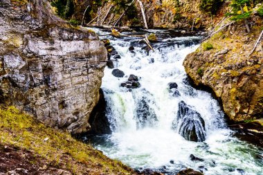 Firehole Nehri 'ndeki şelale Yellowstone Ulusal Parkı, Wyoming, ABD' deki Firehole Kanyon Yolu 'nda.