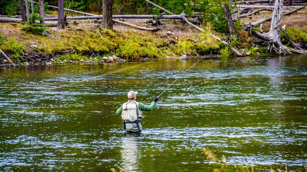 Риболовля Річці Медісон Яка Протікає Через Західну Частину Єллоустонського Національного — стокове фото