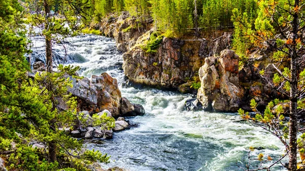 Rapids Firehole River Firehole Canyon Road Yellowstone National Park Wyoming — Foto Stock