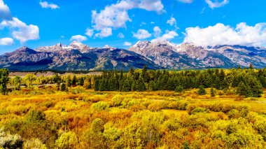 Grand Tetons Ulusal Parkı 'ndaki Grand Tetons Tepeleri' ni çevreleyen sonbahar renkleri. Black Pond 's Overlook' dan Jackson Hole, Wyoming, ABD