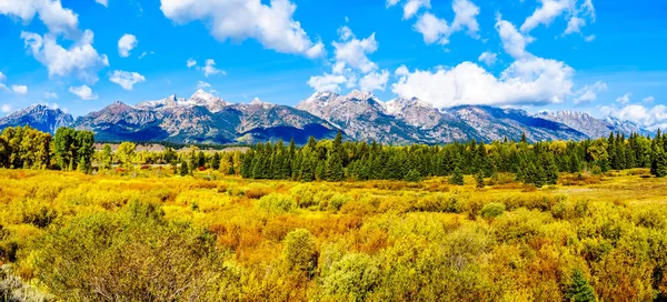 Kolory Jesieni Otaczające Zachmurzone Szczyty Grand Tetons Parku Narodowym Grand — Zdjęcie stockowe