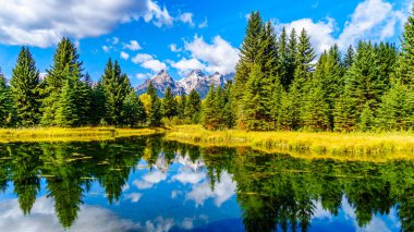 Birleşik Devletler Wyoming 'deki Grand Tetons Ulusal Parkı' ndaki Schwabacher Landing 'deki Yılan Nehri sularındaki Grand Tetons Tepelerinin yansımaları.