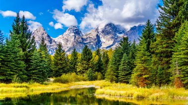 Reflections of the Grand Tetons Peaks in the waters of the Snake River at Schwabacher Landing in Grand Tetons National Park, Wyoming, United States clipart