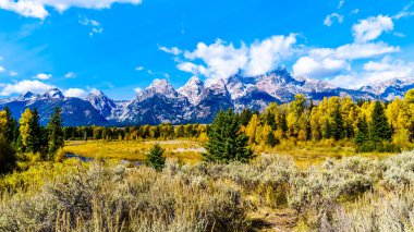 Grand Tetons ve Sonbahar Renk Ağaçları Birleşik Devletler Wyoming 'deki Grand Tetons Ulusal Parkı' nda Schwabacher Landing 'den izlendi.