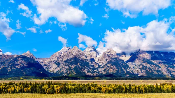 Panorama Middle Teton Grand Teton Owen Centro Cordillera Teton Parque —  Fotos de Stock