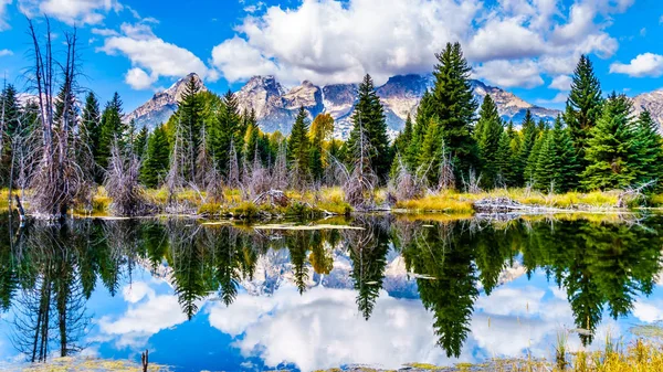 Spiegelungen Der Grand Tetons Gipfel Wasser Des Schlangenflusses Bei Der — Stockfoto